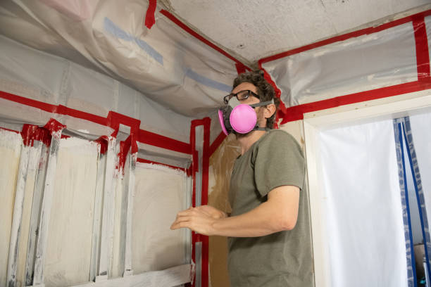 Mold Remediation for Rental Properties in Toquerville, UT