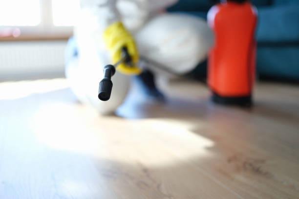 Best Dehumidification Services  in Toquerville, UT