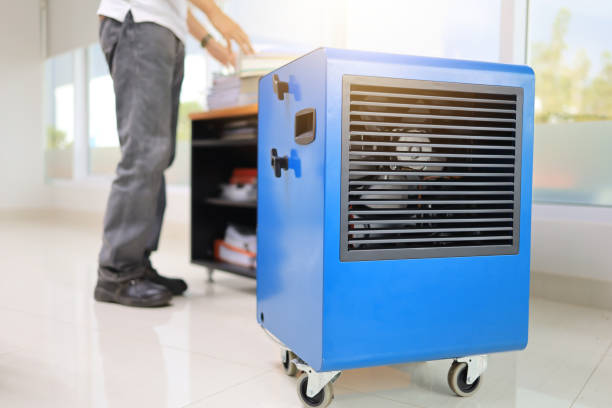 Best Industrial Mold Remediation  in Toquerville, UT