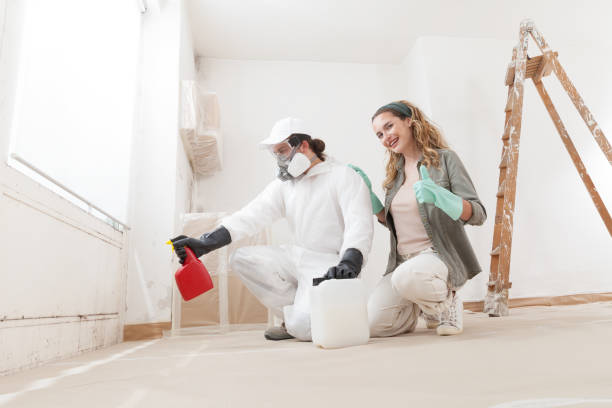  Toquerville, UT Mold Removal Pros